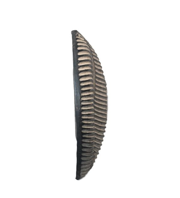 African Zulu Shield | African Tribal Art | Round Carved Shield - Image 5